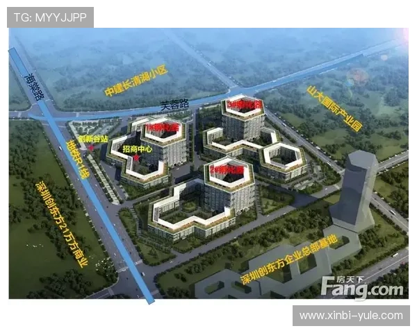 全面解析久发国际的企业背景与发展前景